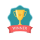 Google Partner Icon